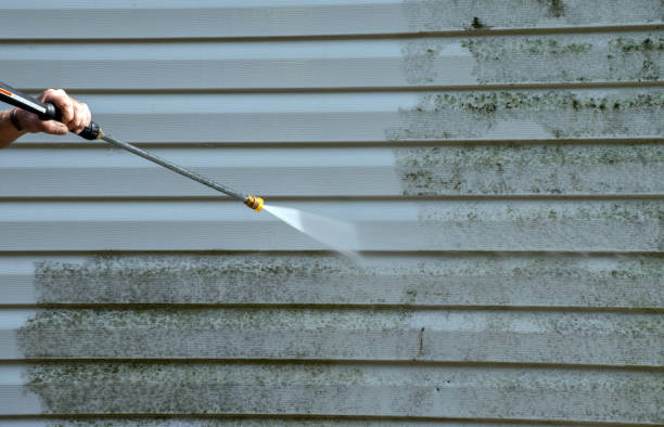 Best Sidewalk and Walkway Cleaning  in Boulder Hl, IL