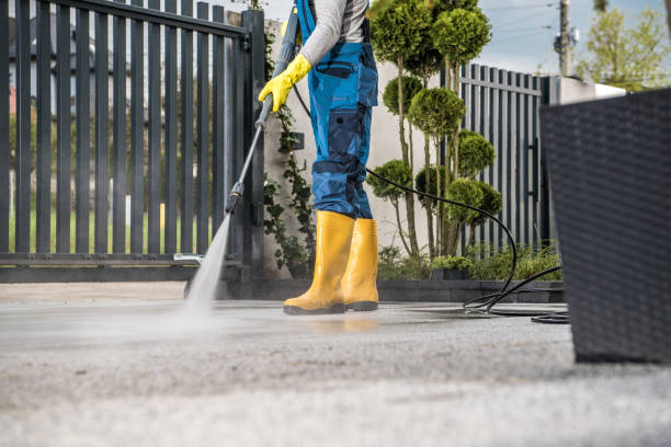 Best Fence Cleaning  in Boulder Hl, IL